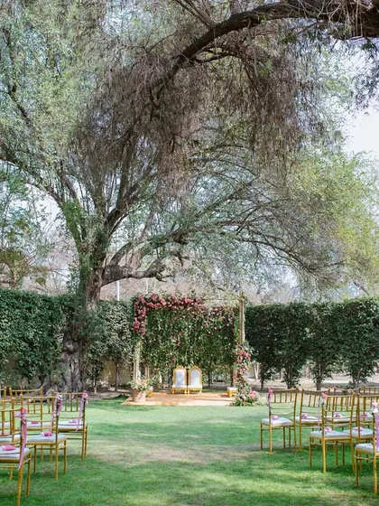 The serene and beautiful garden mandap setup for an intimate daytime wedding.