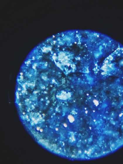 This is what glaze looks like under a microscope. Every bubble, crackle, and crystal is a tiny universe created by heat and chemistry in the kiln. It’s a reminder of how much magic is happening on a microscopic level.