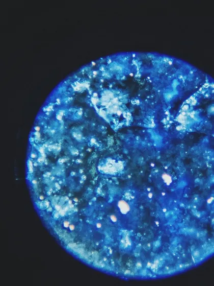 This is what glaze looks like under a microscope. Every bubble, crackle, and crystal is a tiny universe created by heat and chemistry in the kiln. It’s a reminder of how much magic is happening on a microscopic level.