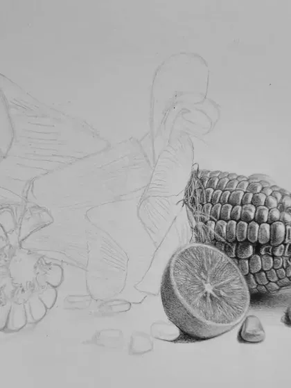 The corn drawing in progress, with one part fully rendered to show the contrast with the initial sketch.