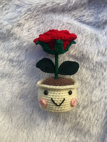 Quirky & Smiley Pots photo 3