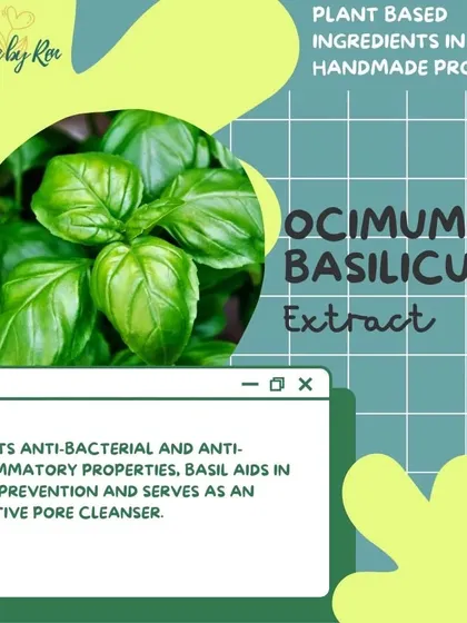 More on the holistic benefits of Basil. Beyond its skin-cleansing abilities, its aroma can help with stress relief and mental clarity.