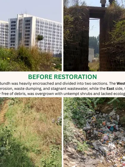 The Behrampur Bundh before restoration was an eroded, waste-filled site with stagnant wastewater. The east side was overgrown with unkempt shrubs, lacking any ecological balance.