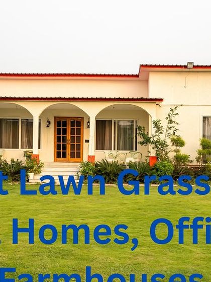 I supply the best lawn grass for Noida homes, offices, and farmhouses, with varieties like Korean, Bermuda, and Mexican grass.