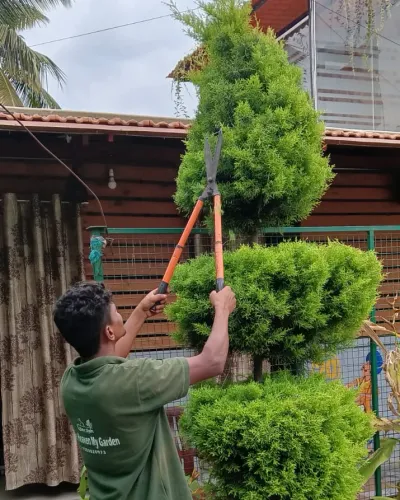 Garden Maintenance