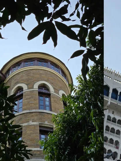 The top of the Taj Hotel's dome, seen through the dark silhouettes of leaves.