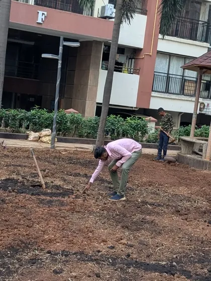 A team member carefully works on the soil, preparing it for the new lawn at the Raheja Vihar site.