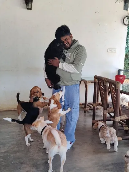A visitor is all smiles as he hugs a black dog while a pack of curious Beagles gathers around his feet.