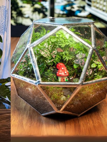 Geometric & Sculptural Terrariums photo 10