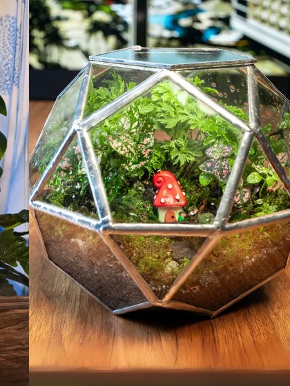 This dodecahedron terrarium creates a whimsical scene with a tiny red mushroom house nestled among the ferns and moss. It's a gorgeous piece that requires no green thumb.