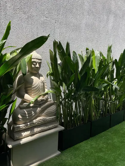 A serene corner from a recent Gurgaon project. The Buddha statue is perfectly complemented by the tall Heliconia plants in sleek black FRP planter boxes.
