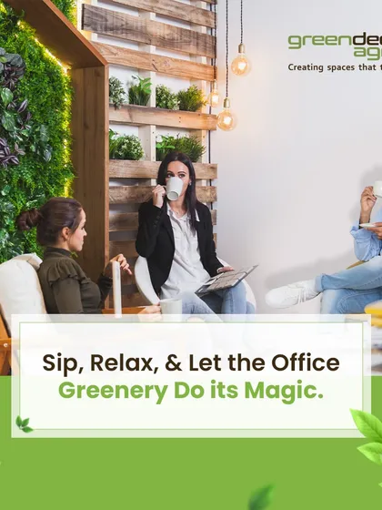 With my AMC service, you can simply sip, relax, and let the office greenery do its magic. I create and maintain beautiful spaces for you and your team to enjoy.