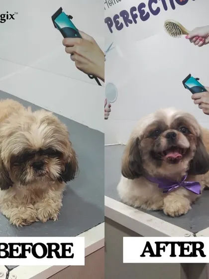 From ruff to fluff. We worked our magic to give this adorable fur baby a complete makeover, and the results are paw-some.