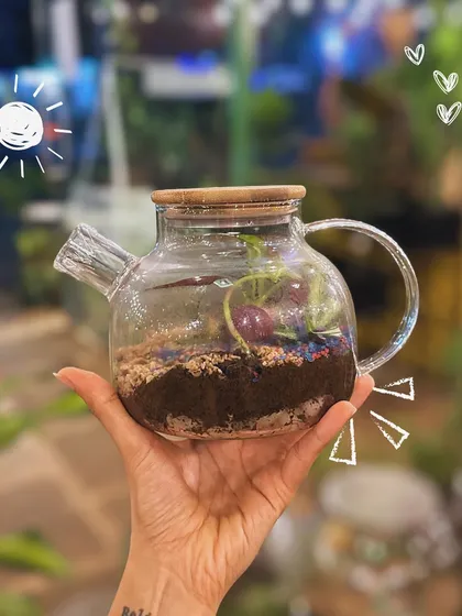 This isn't just any teapot. It's a self-sustaining terrarium, a tiny green world that needs very little care. I love how the glass teapot creates a unique home for the plants and cute figurines inside.