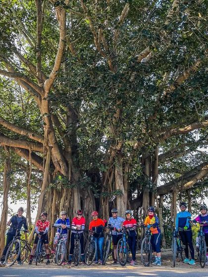 The group posing under a magnificent old banyan tree during our Chikka Tirupathi ride. We always find the best photo spots.