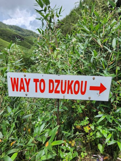 The journey is part of the adventure. A simple sign points the way to Dzukou Valley, building anticipation for the beauty that lies ahead.