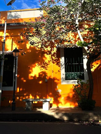 The play of light and shadow on this orange wall in Pondicherry was too beautiful not to paint.