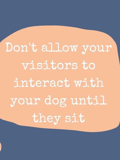 When teaching your dog not to jump, ask your visitors not to interact with them until they are sitting calmly. This reinforces that calm behavior gets them the attention they want.
