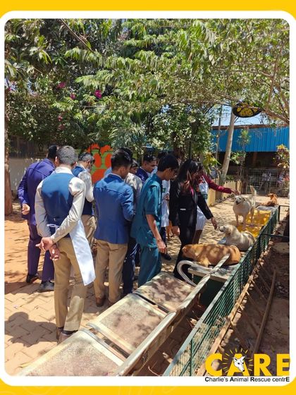 Charlie's Animal Rescue Centre - Community Outreach & Education The Power of Partnership: Corporate & Community Support photo 11