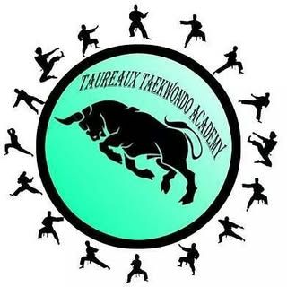 Taureaux Taekwondo Academy