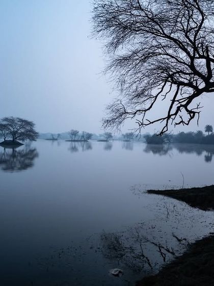 The serene, misty landscape of Keoladeo National Park in the early morning. The still water perfectly reflects the trees, creating a symmetrical and peaceful image.