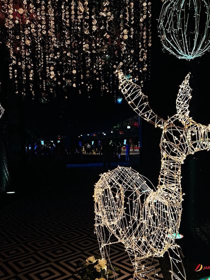 Chic Sangeet & Cocktail Nights photo 18