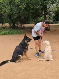 Dog Socialization & Confidence Building