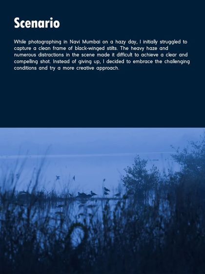 The Art of the Shot: Composition & Creativity photo 6