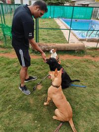 Dog Boarding & Daycare