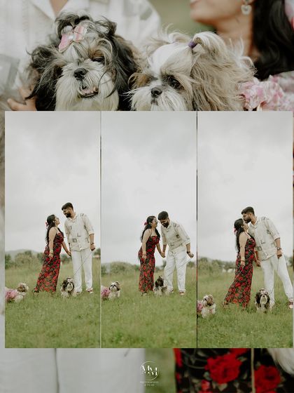 A collage showcasing the love between the couple and their pets. The top frame features the adorable dogs, while the bottom frames show the couple's romantic moments.