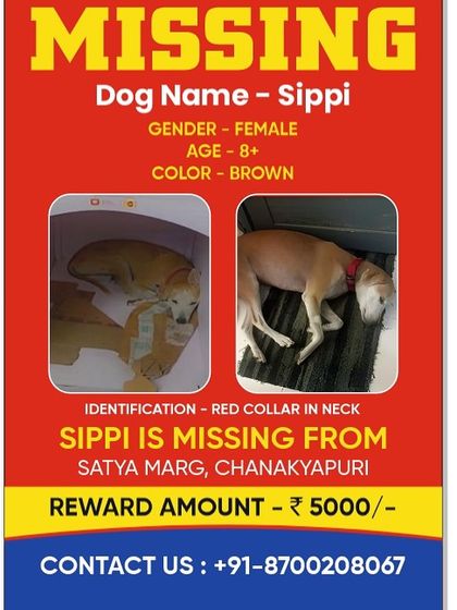**FOUND:** This poster for Sippi, an 8-year-old female dog missing from Chanakyapuri, is a success story. Thanks to our network, she was found and reunited with her family.