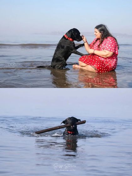 Sniff Stories - Pet Videography Paws, Splashes, and Muddy Noses photo 35