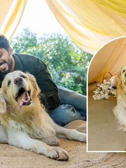 A collage showing Zuko's happy expressions during his photoshoot. Despite his health challenges, his joyful spirit shines through in every frame.
