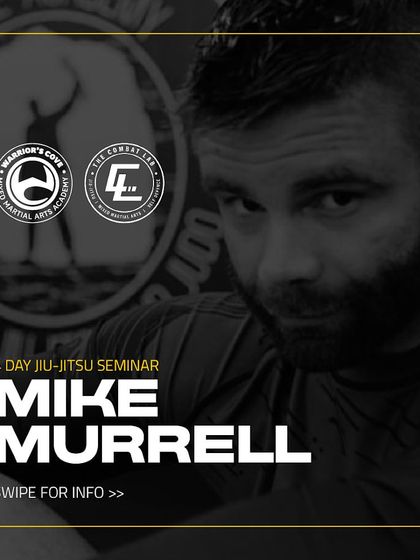 International BJJ Masterclasses photo 13