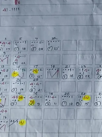 The detailed scoresheet showing Aney Raj Singh's incredible spell of 8 overs, 17 runs, and 4 wickets.