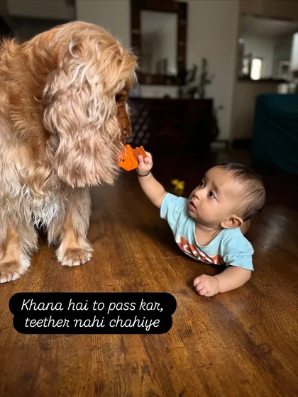 Posto's priorities are clear. "If you want to pass me food, fine. I don't need your teether." A lesson in sharing from the older brother.
