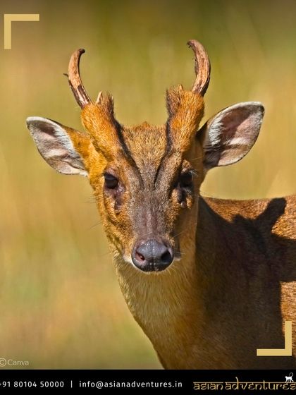 Global Wildlife Adventures photo 22