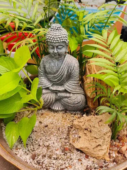 We create peaceful mini-gardens and table-top displays. This arrangement features a serene Buddha figurine nestled among money plants and other foliage in a bed of sand and rock.