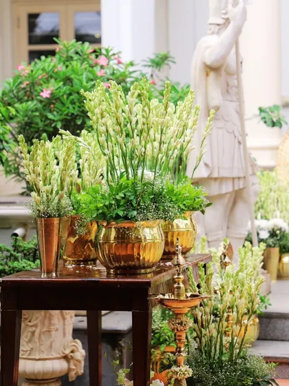 Elegance in the details. For this daytime event, I used arrangements of white tuberoses in gleaming golden pots, complemented by a traditional brass lamp, to create a feeling of serene and sophisticated welcome.