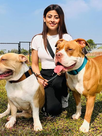 The Pawsome Camp - Dog Park & Pool Paws & People: A Community of Dog Lovers photo 46