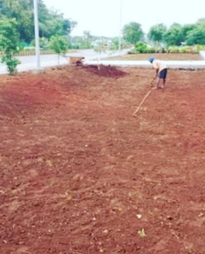 Corporate & Commercial Campuses photo 16