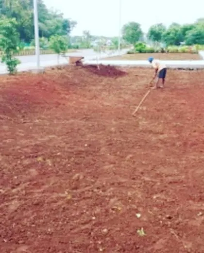 The first step in many of our large projects is ground preparation. Here, a worker is raking and leveling the soil to create the perfect base for a new lawn.