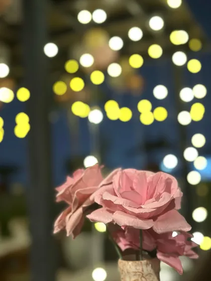 A close-up of pink paper roses against a backdrop of bokeh fairy lights. It's these artistic details that add to the magical ambiance.