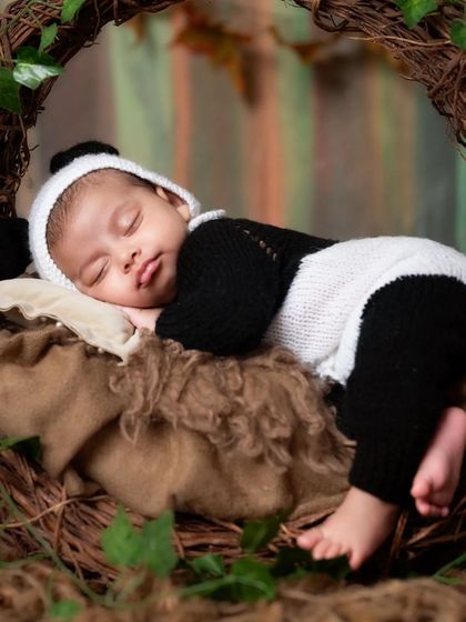 Abhinandan Photography - Newborn Photography Whimsical Worlds: Themed & Costume Shoots photo 3
