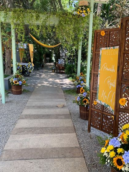 A welcoming pathway for a Haldi ceremony, lined with sunflowers and leading to a rustic wooden screen.