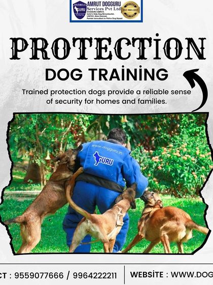 Dog Guru - Professional Dog Trainer Certification Advanced Training in Action photo 13