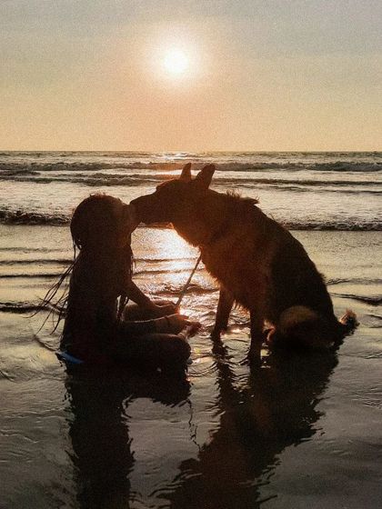 Sunsets on the beach with my best boy. These are the moments of pure connection that I want every dog owner to experience.