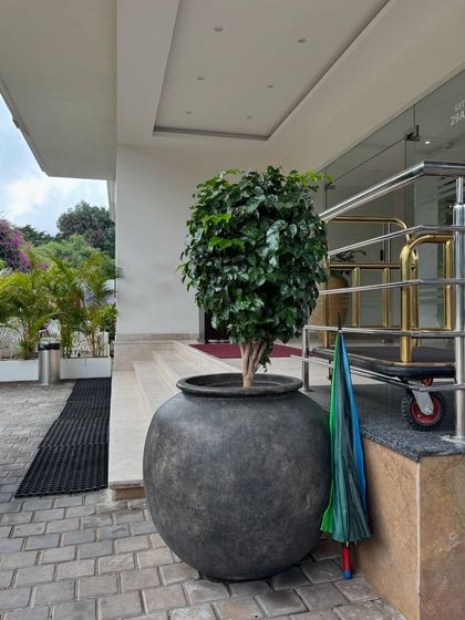 Greening Commercial Spaces photo 7