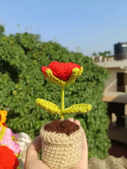 A single potted red rose, a classic and vibrant decor piece.