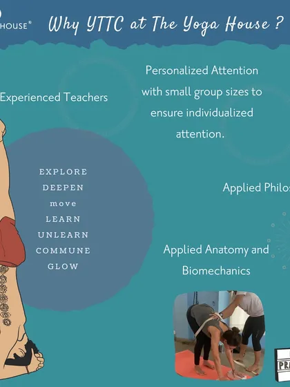 Why choose our TTC? We focus on what matters: experienced teachers, personalized attention in small groups, and a curriculum rooted in applied philosophy, anatomy, and biomechanics to make you a confident and knowledgeable teacher.